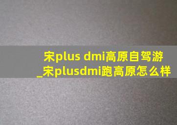 宋plus dmi高原自驾游_宋plusdmi跑高原怎么样